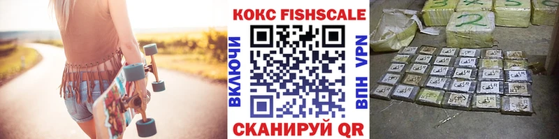 Cocaine Fish Scale  ОМГ ОМГ маркетплейс  Красногорск  закладка 