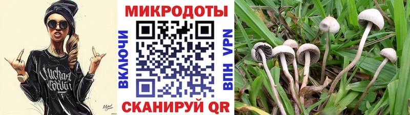 Псилоцибиновые грибы ЛСД  Красногорск 